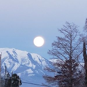 Meet your Posher, Jaynee